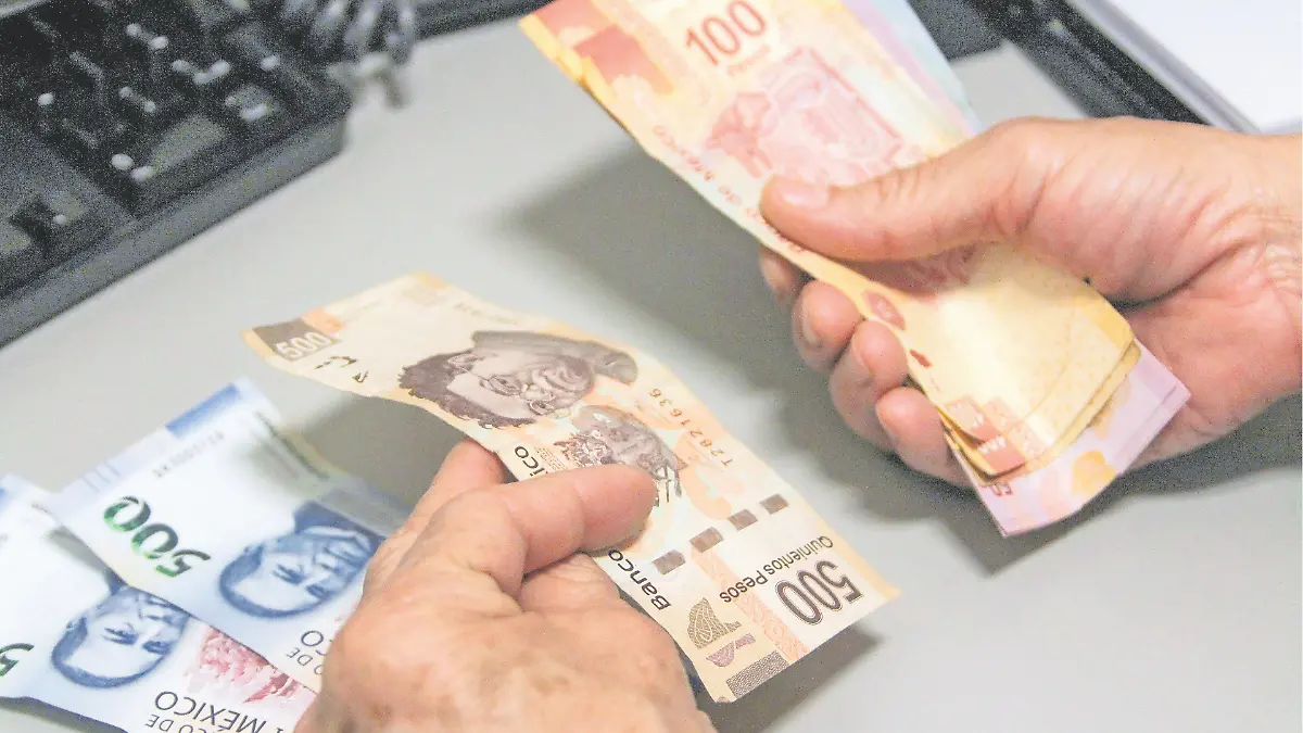 dinero_ FRANCISCO MEZ:EL SOL DE LEÓN
